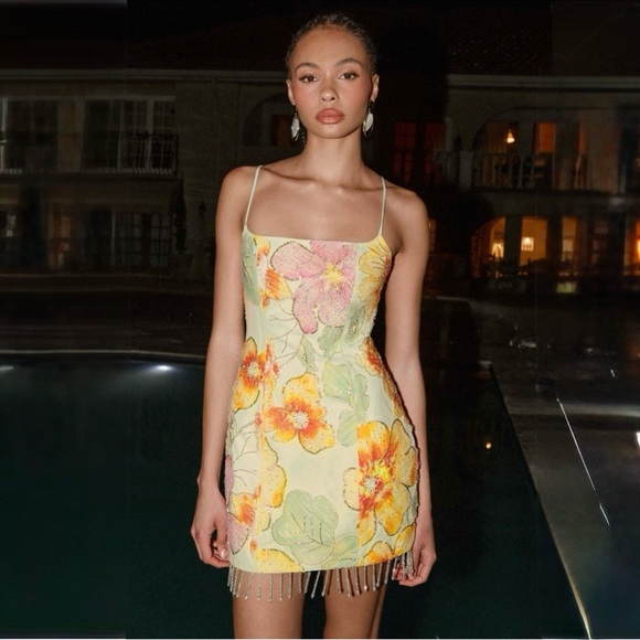 Peppermayo Dresses & Skirts - PEPPERMAYO Gatiana bead sequin floral beaded mini dress
